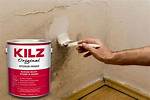 Does Kilz Kill Mold