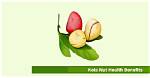 Does Kolanut Affect Pregnancy?