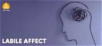 Does Labile Affect Mean?