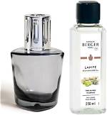 Does Lampe Berger Kill Germs?