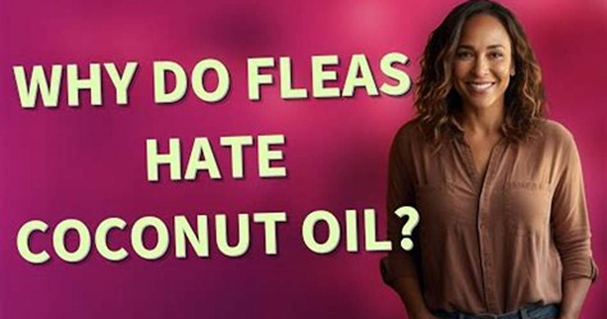 Does Lauric Acid Kill Fleas?