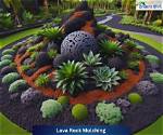 Does Lava Rock Reduce pH