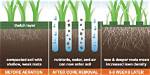 Does Lawn Coring Work?