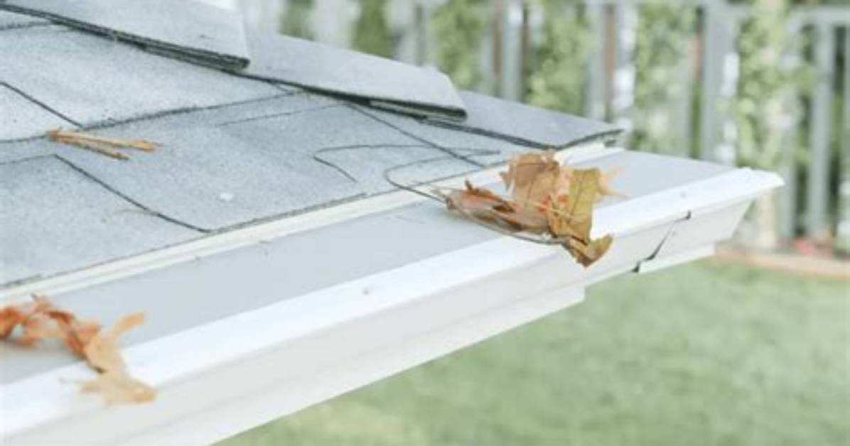 Does Leaf Filter Cause Ice Dams?