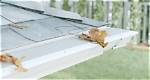 Does Leaf Filter Cause Ice Dams?