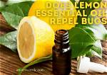 Does Lemon Scent Repel Bugs
