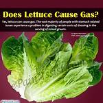 Does Lettuce Cause Gas?