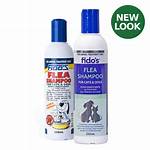 Does Lice Shampoo Kill Fleas?