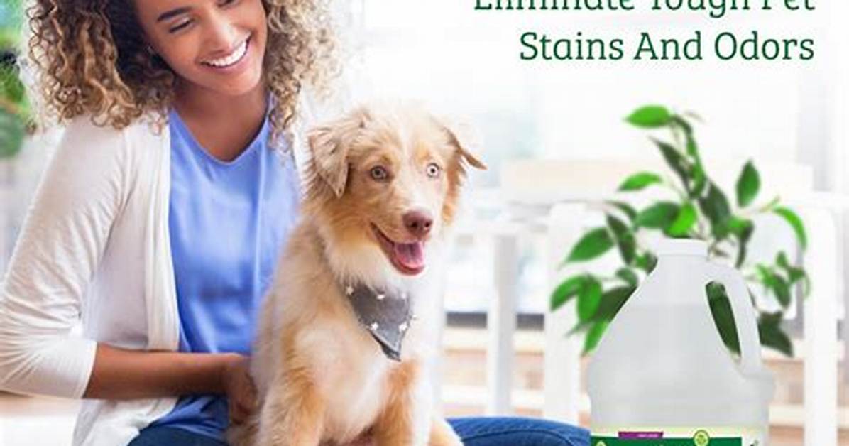 Does Lime Help Dog Pee