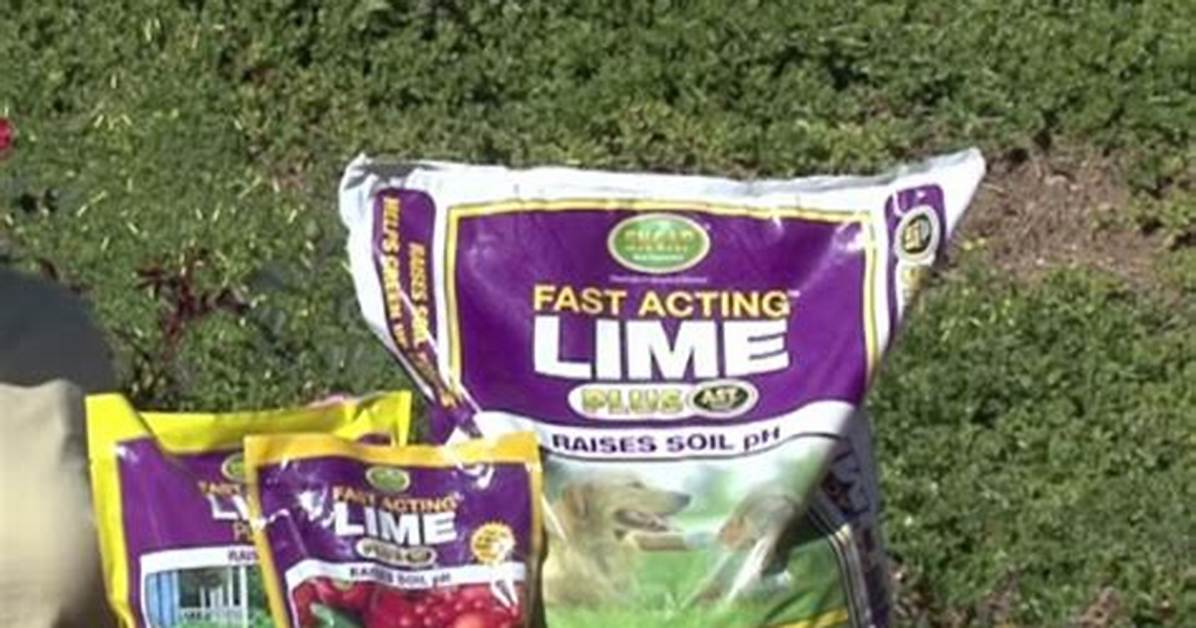Does Lime Keep Snakes Away