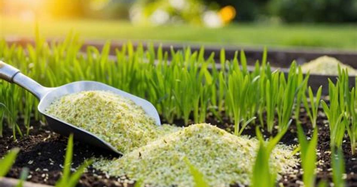 Does Lime Kill Grass Seed?