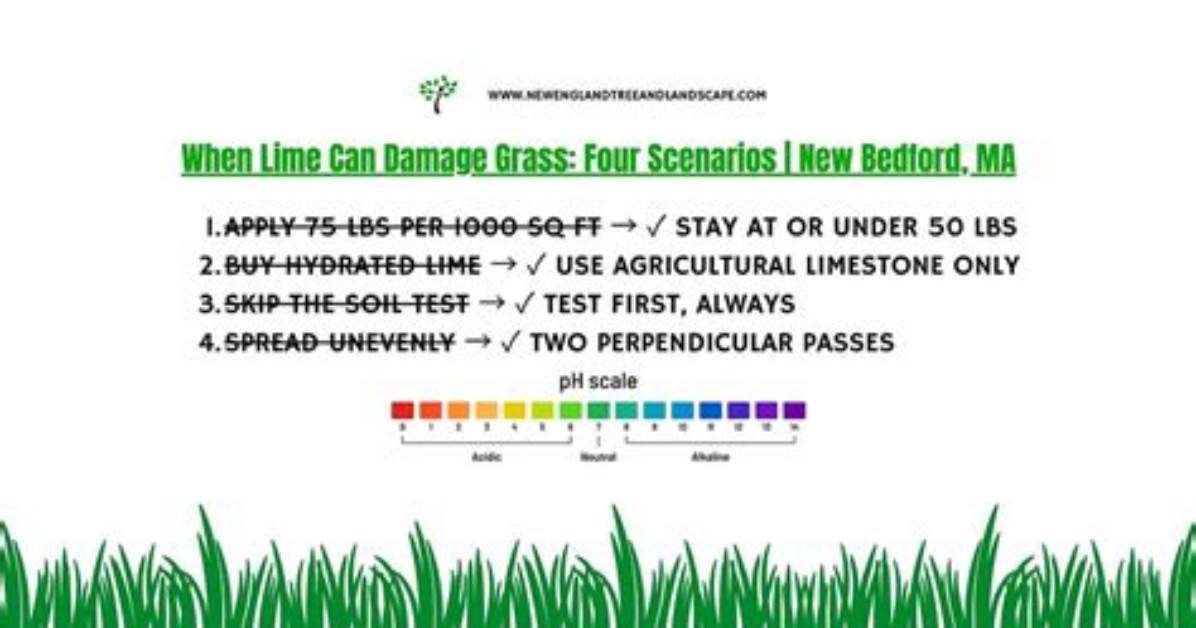 Does Lime Kill Grass?