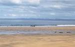 Does Limerick Have a Beach?