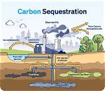 Does Limestone Sequester Carbon?