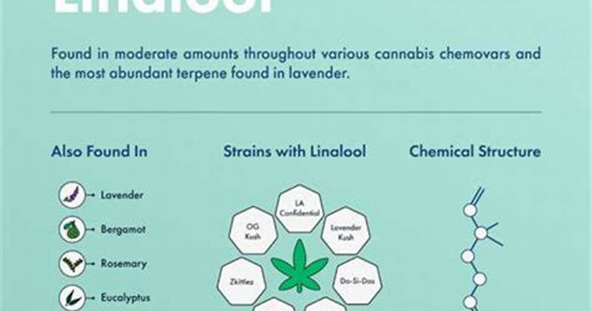 Does Linalool Have a Scent