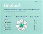 Does Linalool Have a Scent