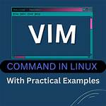 Does Linux Come with Vim?