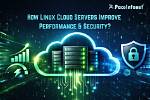 Does Linux Improve Performance?