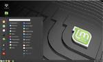 Does Linux Mint Support Dual Monitors?
