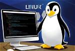 Does Linux Use C?