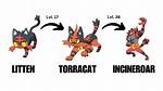Does Litten Have an Evolution?
