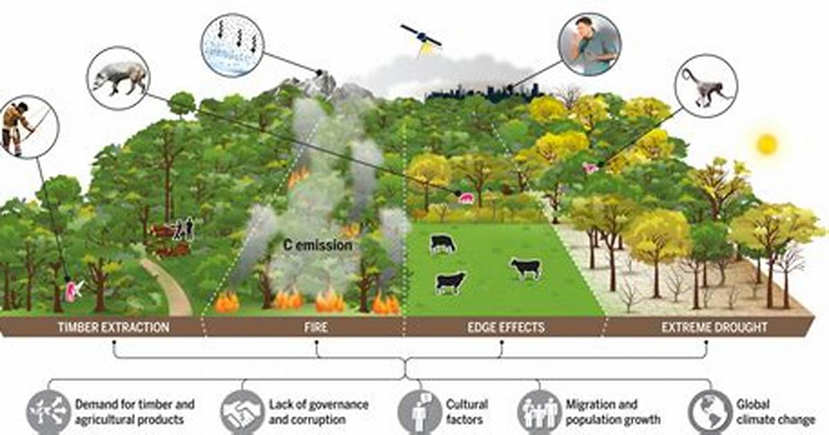 Does Logging Reduce Forest Fires?