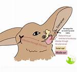 Does Lop Affect Gratuity?
