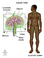 Does Lymph Stim Work?