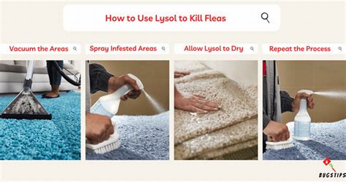 Does Lysol Kill Fleas