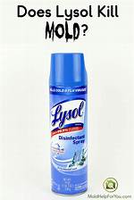 Does Lysol Kill Mold