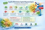 Does Lysol Kill Ringworm