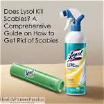 Does Lysol Kill Scabies