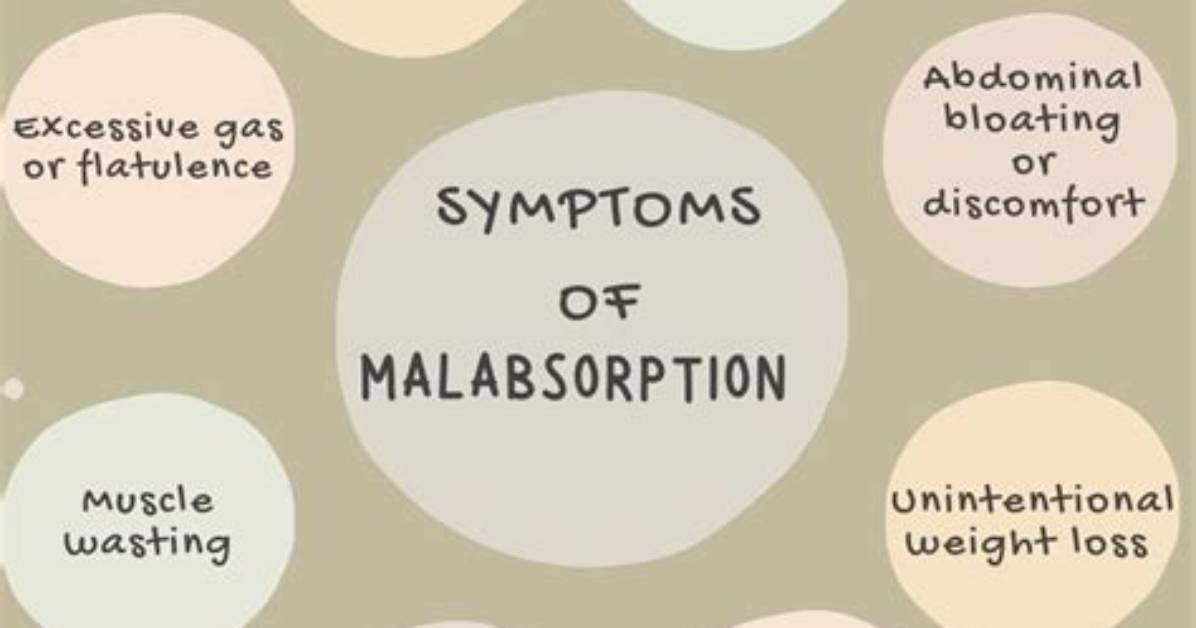 Does Malabsorption Cause Gas?