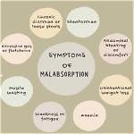Does Malabsorption Cause Gas?