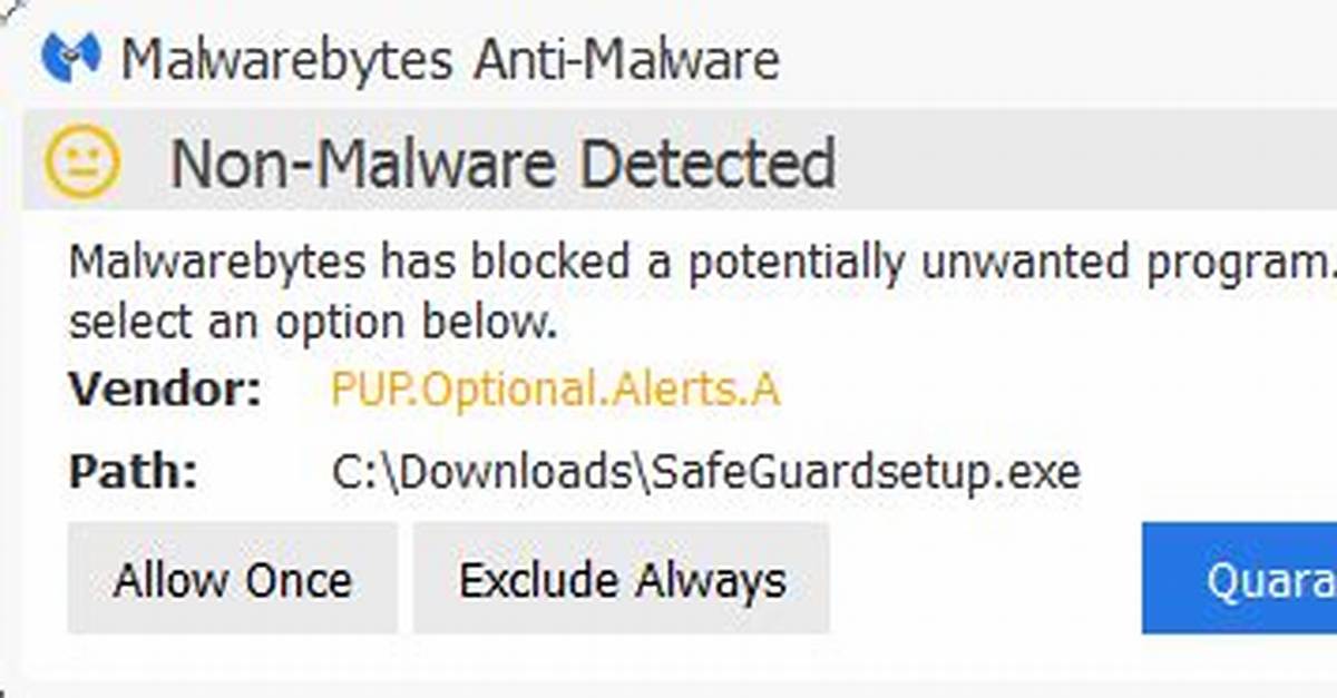 Does Malwarebytes Detect Viruses?
