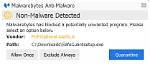 Does Malwarebytes Detect Viruses?