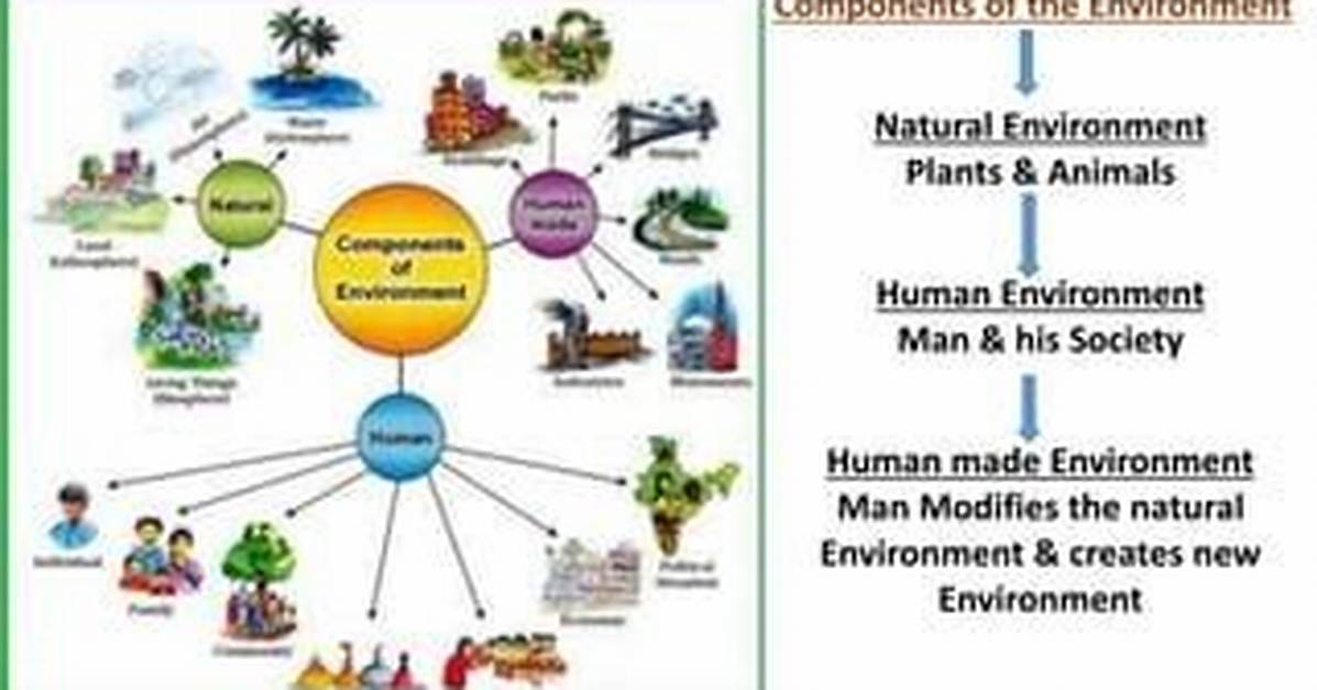 Does Man Modifies Environment?