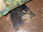 Does Mastic Have Asbestos