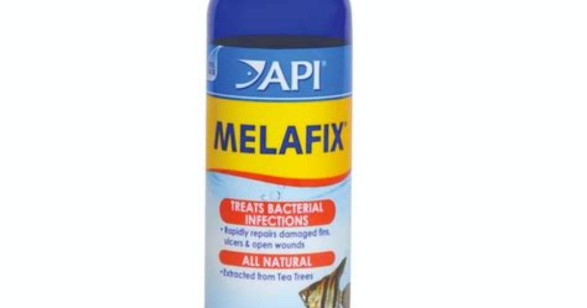Does Melafix Kill Plants