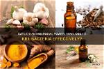 Does Melaleuca Kill Bacteria?