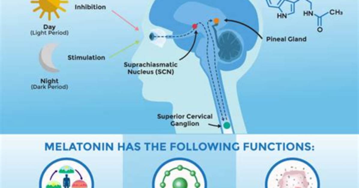 Does Melatonin Go Bad?