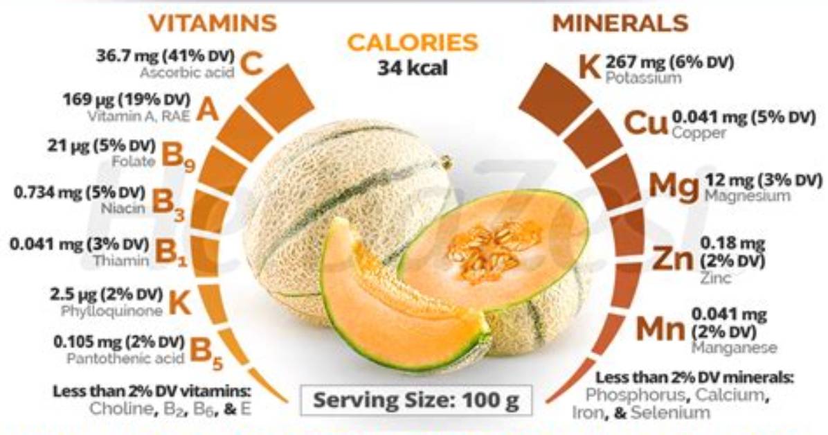 Does Melon Have Protein?