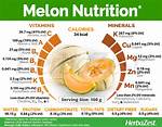 Does Melon Have Protein?