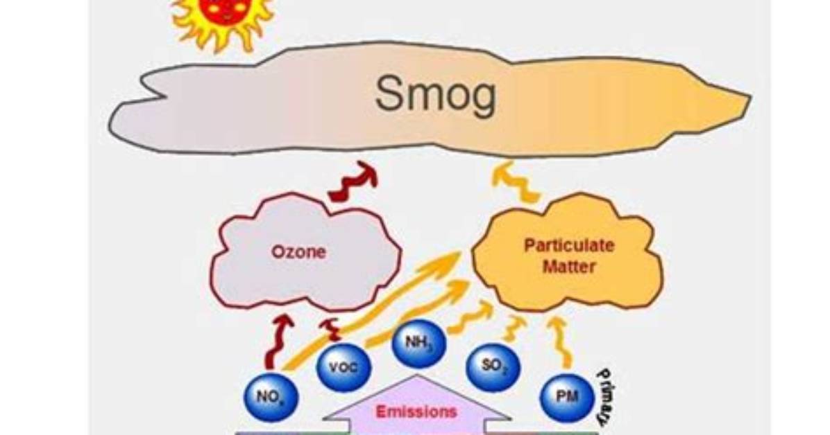 Does Midas Do Smog?