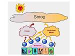Does Midas Do Smog?