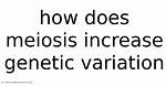 Does Mitosis Increase Genetic Variation?