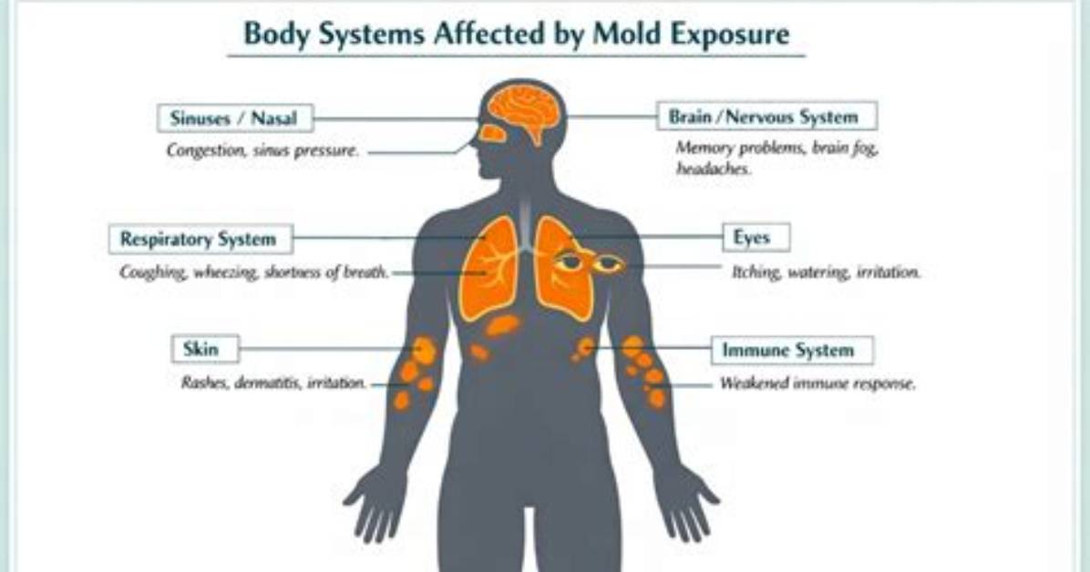 Does Mold Affect Your Joints