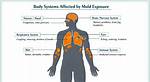 Does Mold Affect Your Joints