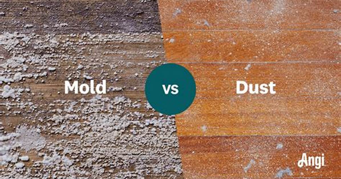 Does Mold Cause Dust