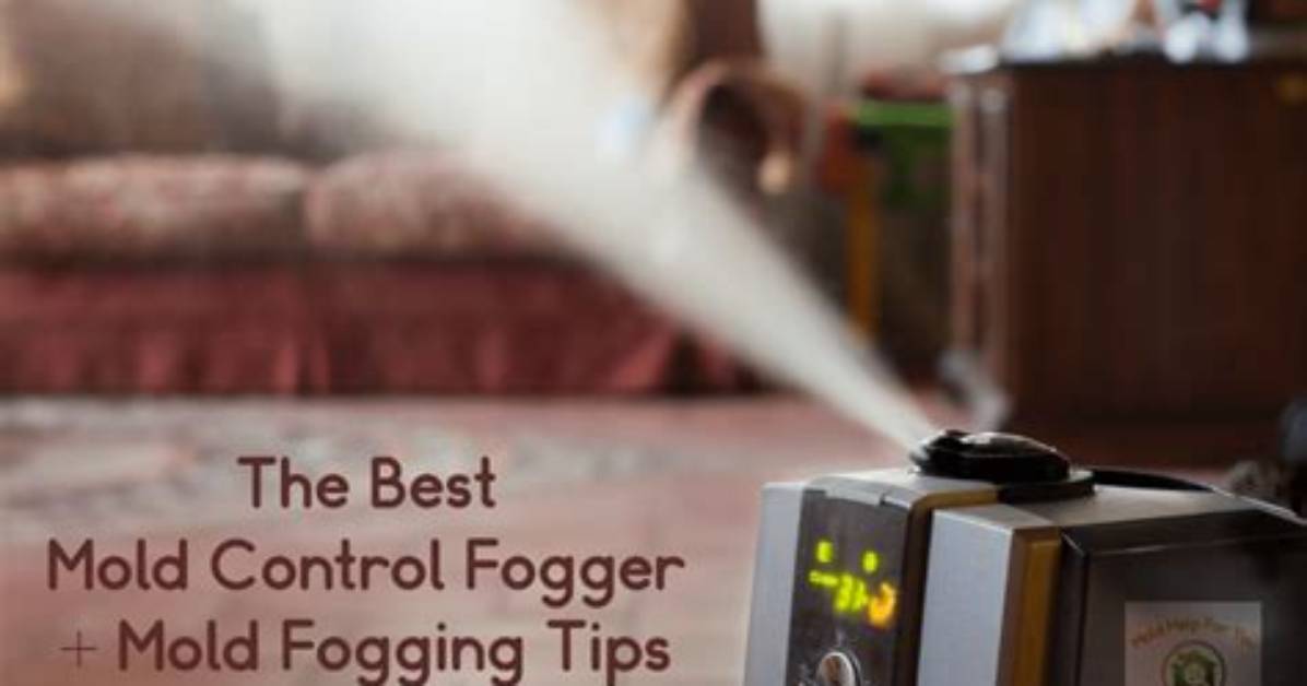 Does Mold Fogging Really Work?